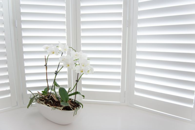 Plantation Blinds Installation in Longmont, CO
