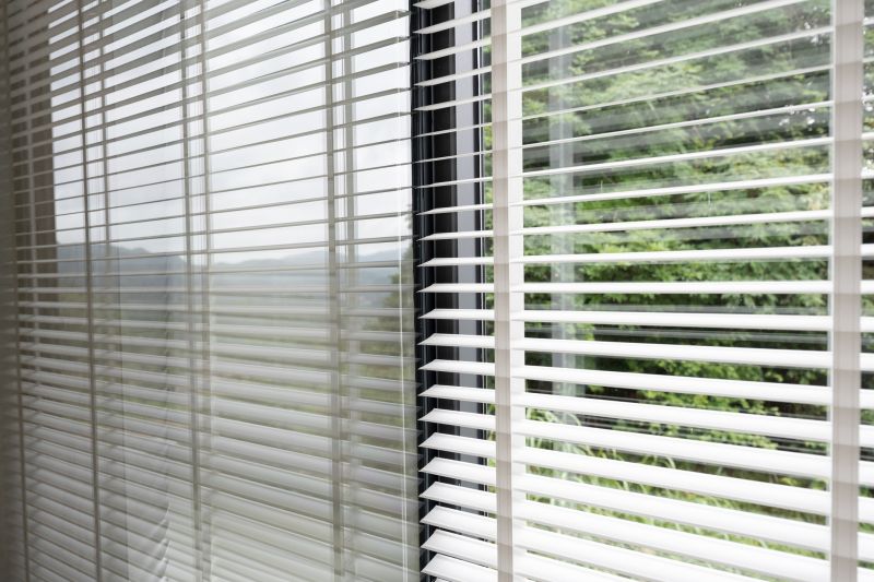 Roman Shade Cleaning in Madison, WI